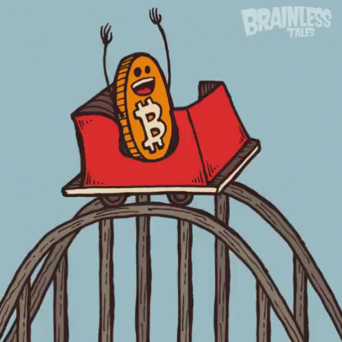 Bitcoin gif rollercoaster